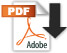Icon PDF download