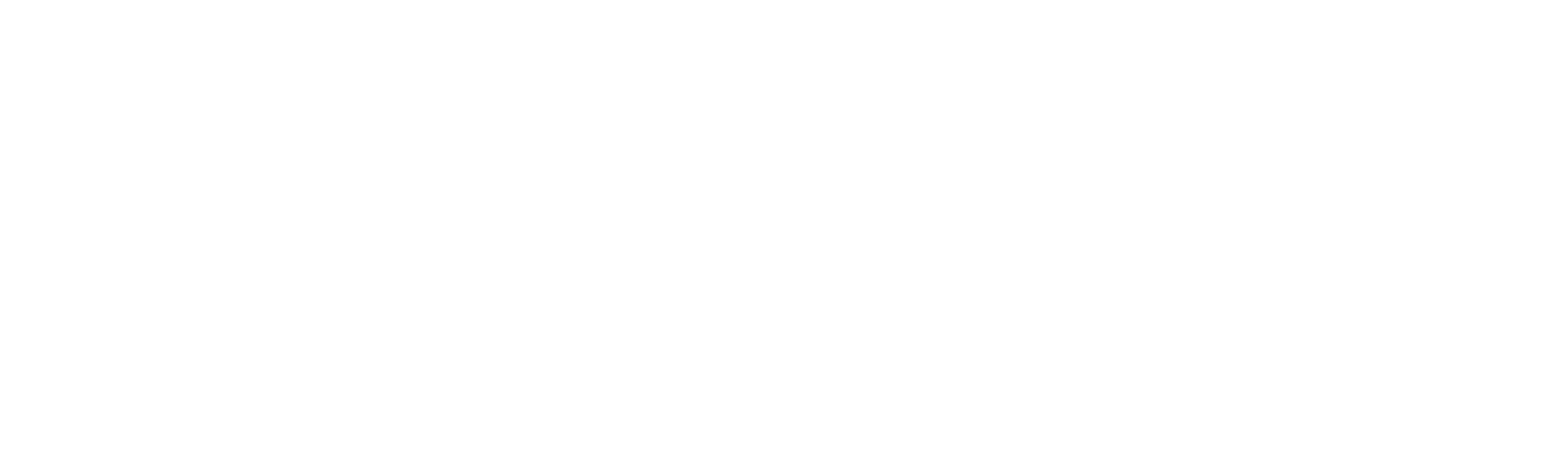iiM AG measurement + engineering Logo